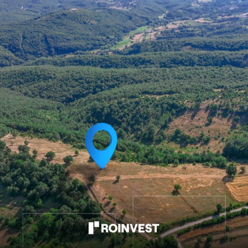 Parcelë 20ari në shitje!