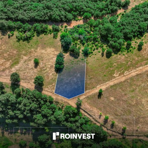 Parcelë 20ari në shitje!